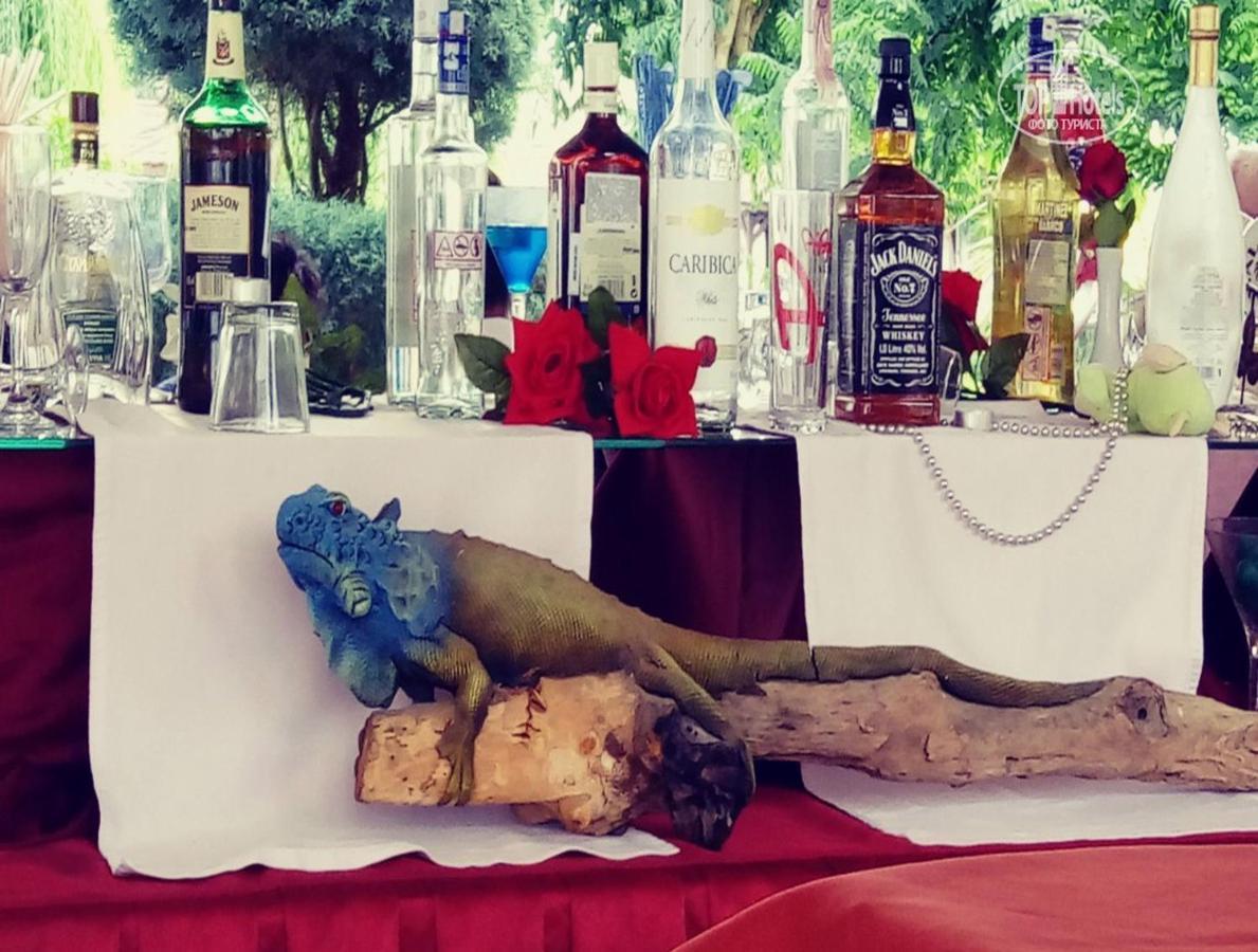 Golden Sunset Hotel&Spa كمر المظهر الخارجي الصورة Blue iguana at the bar